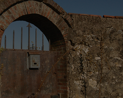 Champagne Claude Cazals Le Mesnil sur Oger